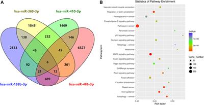 Diagnosis potential of subarachnoid hemorrhage using miRNA signatures isolated from plasma-derived extracellular vesicles